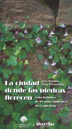 La ciudad donde las piedras florecen